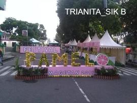 Festival Tulisan dari Bahan Buah Jeruk