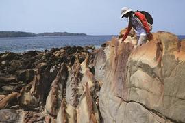 03 Dragon Spine Rock from Eocene Ciletuh Formation