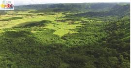 Gravitational Collapsed Amphitheater Morphology