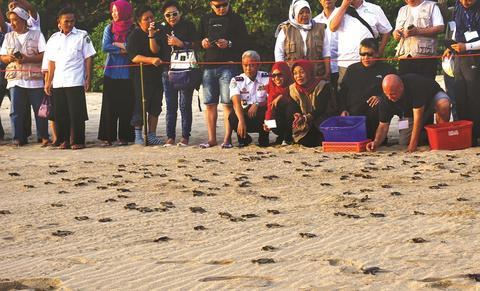 Original Objek Digital not accessible