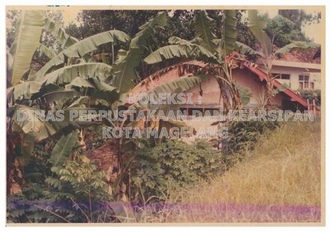 Original Objek Digital not accessible