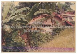 AF.PEMB.005.2021.I.jpg 1