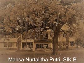 Proefstation voor de Java Suikerindustrie Groep Pasoeroean.  1