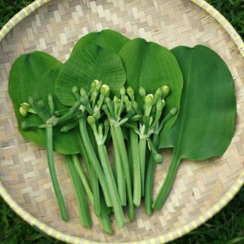 Original Objek Digital not accessible