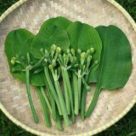 SAYUR GENJER BIKIN LIDAH BERGESER