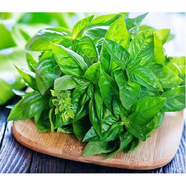 Daun Kemangi harum mewangi