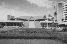 Daun bayam enak sehat nyam nyam