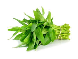 Sayur kangkung panjang dan melengkung