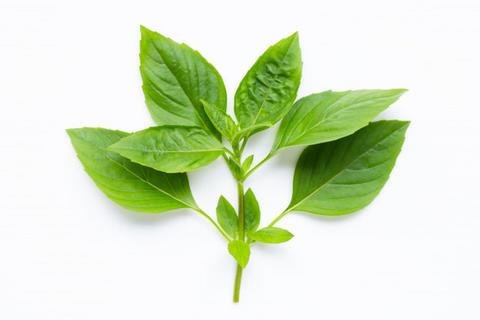 Original Objek Digital not accessible