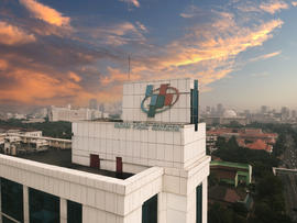 Sayur kangkung panjang dan melengkung