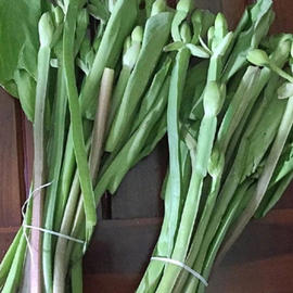 Sayur Genjer bikin lidah bergeser