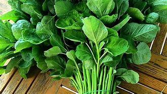 Original Objek Digital not accessible